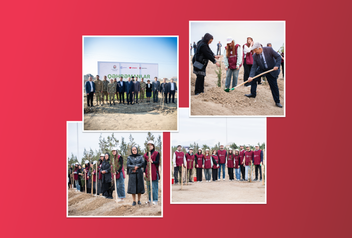 “Garden of Heroes” project: 543 trees planted in memory of martyrs