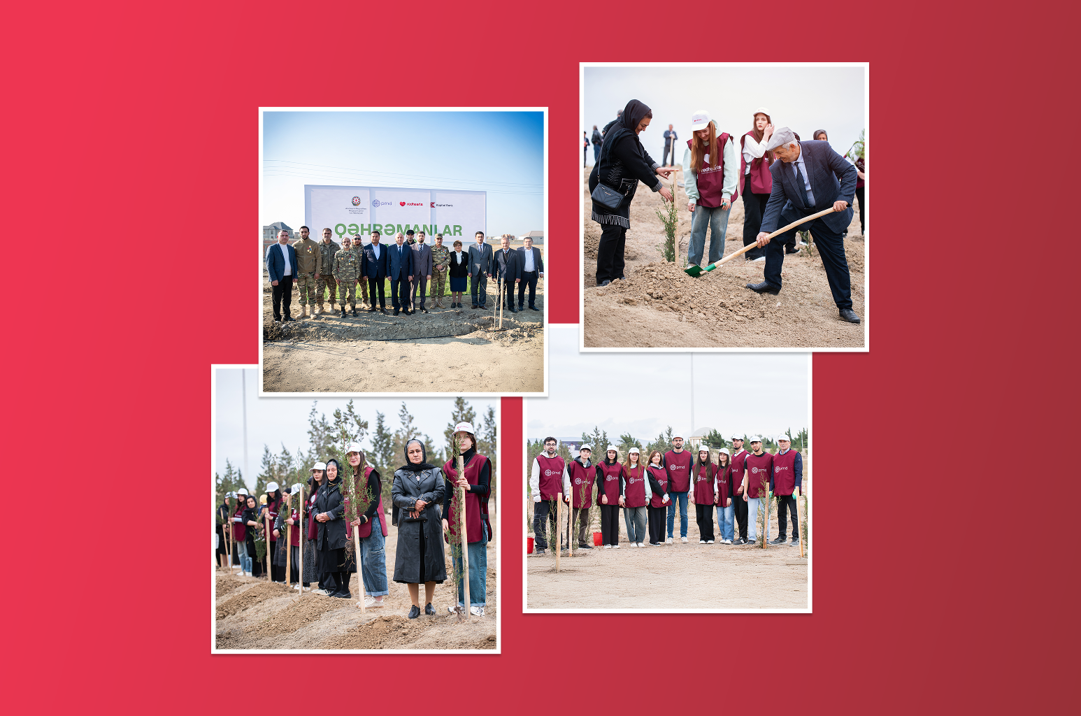 “Garden of Heroes” project: 543 trees planted in memory of martyrs